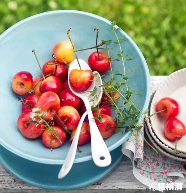 大樱桃吃多了会中毒是真的吗？没那回事！